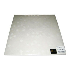 A[ebN NA~ ݂ 100 ua CM-300