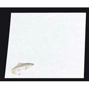 A[ebN Vԓ ~ l 100  NY-12