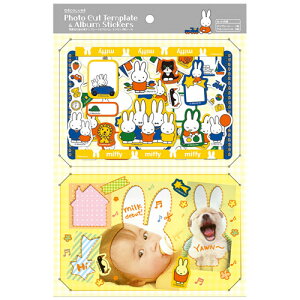 �i�J�o���V �f�B�b�N�u���[�i �^�C�g���V�[���Z�b�g �t�H�g�J�b�g�e���v���[�g�t �~�b�t�B�[ �AS-FCS-23