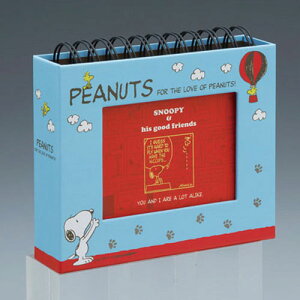 ナカバヤシ ピーナッツ フレームケースアルバム リング式 L判・1段ポケット台紙 スヌーピー ブルー ア-FTPC-202-2