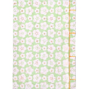 iJoV aԒ A6TCY Ԃ^Cv ԃO[ m-WTJ-A6-4