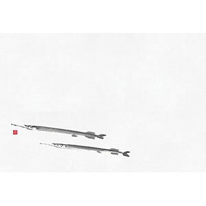 }R[ 2N΂܂ i׋j 100 64971