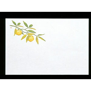 }R[ 3΂܂ƌ͒W Mq 100 65051