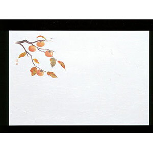 }R[ 3΂܂ƌ͒W ` 100 65204