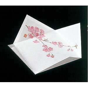 }R[ RێlG̎M  200 65591