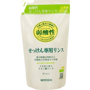 ~VΌ Y pX l֗p 300ML