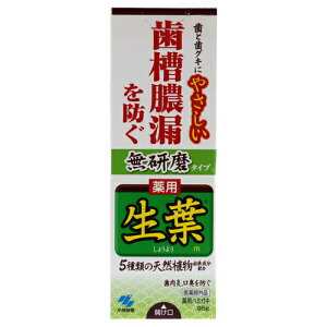 小林製薬 薬用 生葉 無研磨タイプ 95g