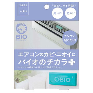 RWbg GAR̃JrɃoCĨ`JvX