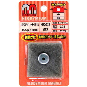 aCY WAKI lIWE}Olbg [N  5×15.5mm 1 NMG-023