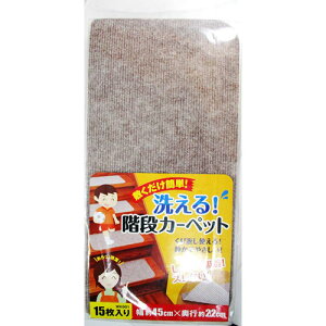 �a�C�Y�� WAKI �􂦂�K�i�J�[�y�b�g 15���� 45×22cm WK001