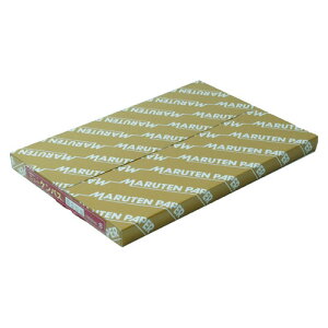 �j���[�P���p�X�i�P���g���j B5 ���� 100���� B305