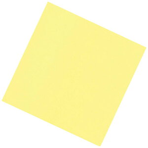 A[ebN Fʑϖ 100 CG[ TA-C09YN