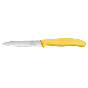 rNgmbNX Victorinox yeBiCt gn CG[ 10cm 6.7736.8FCE