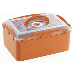 VJ yH Е|bg SJ1910 Е  ɂRꂵȂ ۑe L`