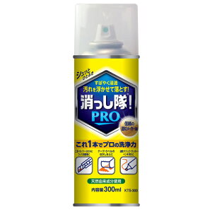 ABC ꗎƂ Xv[ ! PRO 300ml KTS-300