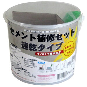 ハンディ・クラウン セメント補修セット 速乾タイプ JH-06