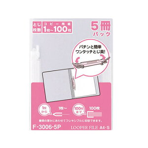 LIHIT LAB qgu [p[t@C 5pbN A4S 2  F-3006-5P jEnN