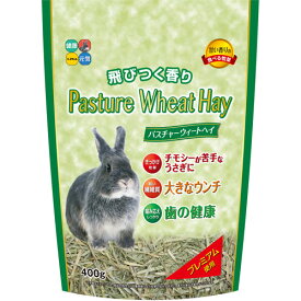 ハイペット 食べる牧草 パスチャーウィートヘイ 400g