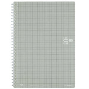 RN \tgOm[g r 80 B5 Vo[ X-SV308S5-C