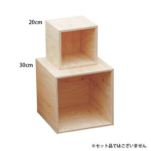 }R[ HP 5ʑDP BOX h 20cm