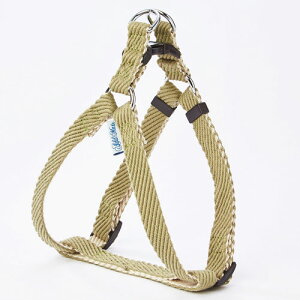 yeBI Petio p \tgXLbvn[lX S O[