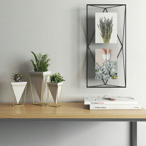 umbra vY} }`tHgfBXvC ubN ʐ^  Ǌ|  tHg tHgt[ tHgfBXvC rO 