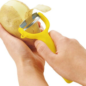 H txW ܂V[vs[[ FV-666