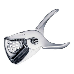 AJE^Ntg AM XeX VgXXNCU[ LS206