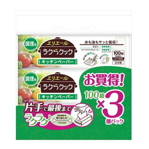 剤 GG[ NNbN Lb`y[p[ 100W×3