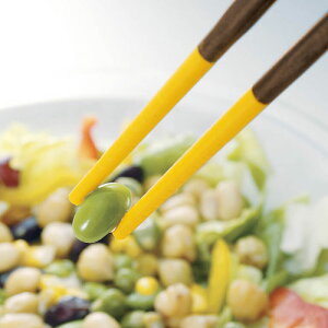 }[i VR[؂΂ CG[ K690Y