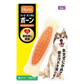 ハーツ デンタルボーン LL