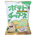 創健社 ポテトチップス うす塩味 60g 国産ジャガイモ100%使用 植物油使用 海水塩使用 おやつ 安心 安全