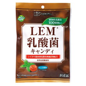 創健社 LEM乳酸菌キャンディ 63g （個包装込み）