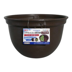 WFbNX GEX _JC _Ĵ߂̎甫  320