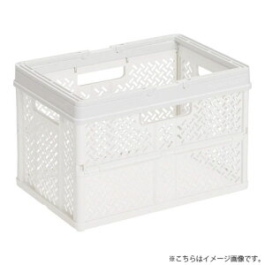 Vn PRX ܂肽݃oXPbg nht S X[L[zCg