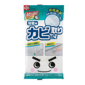  _z Jr EGbgV[g 13 p S01243