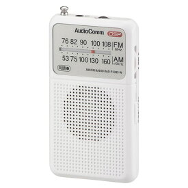 オーム電機 ポケットラジオ DSP式 AM/FM ホワイト RAD-P338S-W