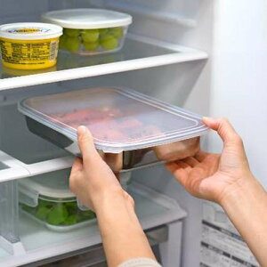 I[NX leye CG XeXۑobg  LES3236