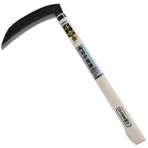 ���n������ 180mm