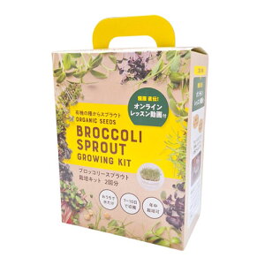 �I�����C������t �u���b�R���[�X�v���E�g �͔|�L�b�g 2��