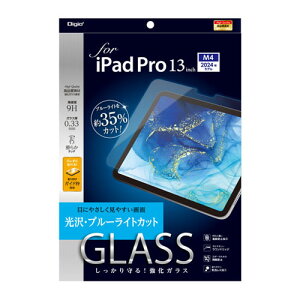iJoV Digio2 iPad Pro 13C`p tیKXtB BLJbg TBF-IPP242GKBC
