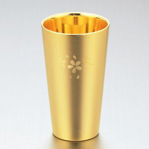 함   18-8XeXW\ ߂d ^u[ SK-004