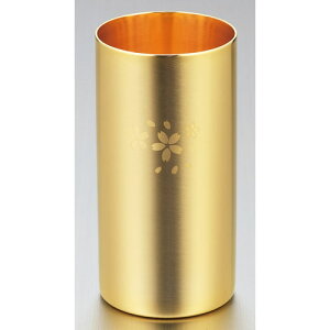 함   18-8XeXW\nC{[^u[ ߂d SK-006