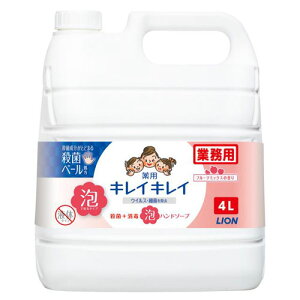 CI ƖpLCLCAHSt[c~bNX4L