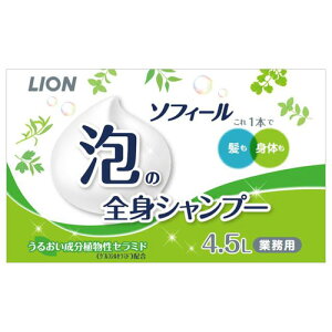 ���i�摜