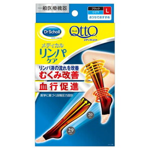 fBLbg pPA e  \bNX ЂܐȂ ނ݃PA LTCY 1