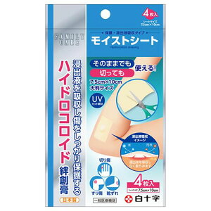 t@~[PA FC CXgV[g nChRChJnp 唻TCY 4