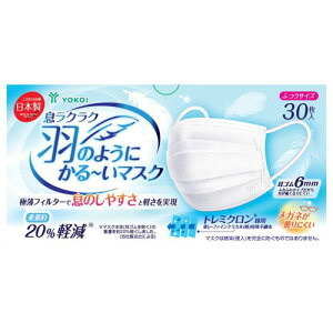 NN Ĥ悤ɂ~}XN ӂTCY 30