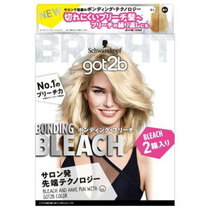 �w���P���W���p�� got2b �{���f�B���O�E�u���[�` 2���Z�b�g