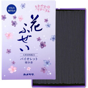 J} Ԃӂ oCIbg  p^ 220g